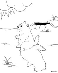 Groundhog and Shadow Coloring Page with Sun and Clouds