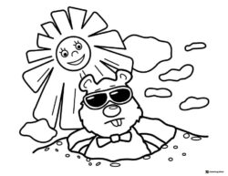 Groundhog with Sunglasses and Sun Character Coloring Page