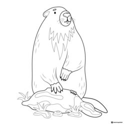 Standing Groundhog Coloring Page with Rock and Grass