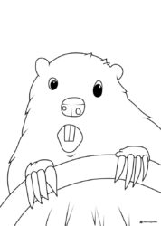 Surprised Groundhog Coloring Sheet with Big Eyes and Claws