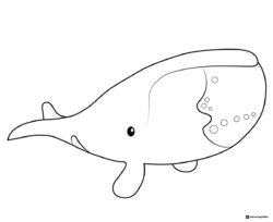 Octonauts Pesos Gup E Coloring Page