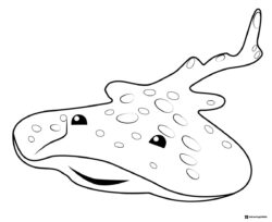 Octonauts Spotted Ray Coloring Page