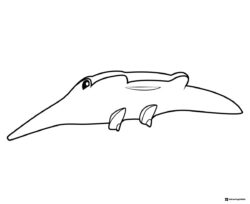 Octonauts manta ray creature coloring page