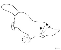 Octonauts swimming platypus coloring sheet