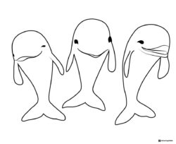 Octonauts three smiling dolphins coloring page
