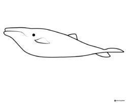 Simple whale Octonauts coloring page